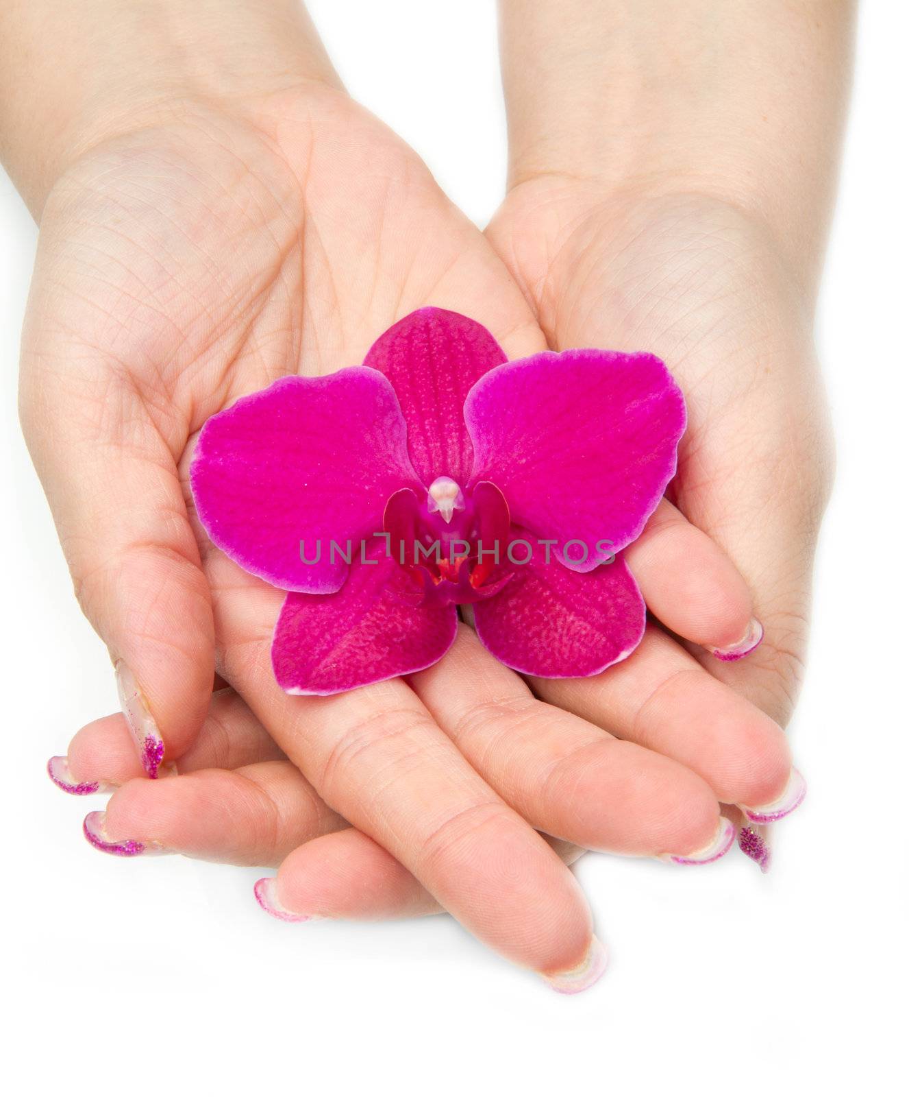 Beautiful hand with perfect nail french manicure and purple orchid flowers