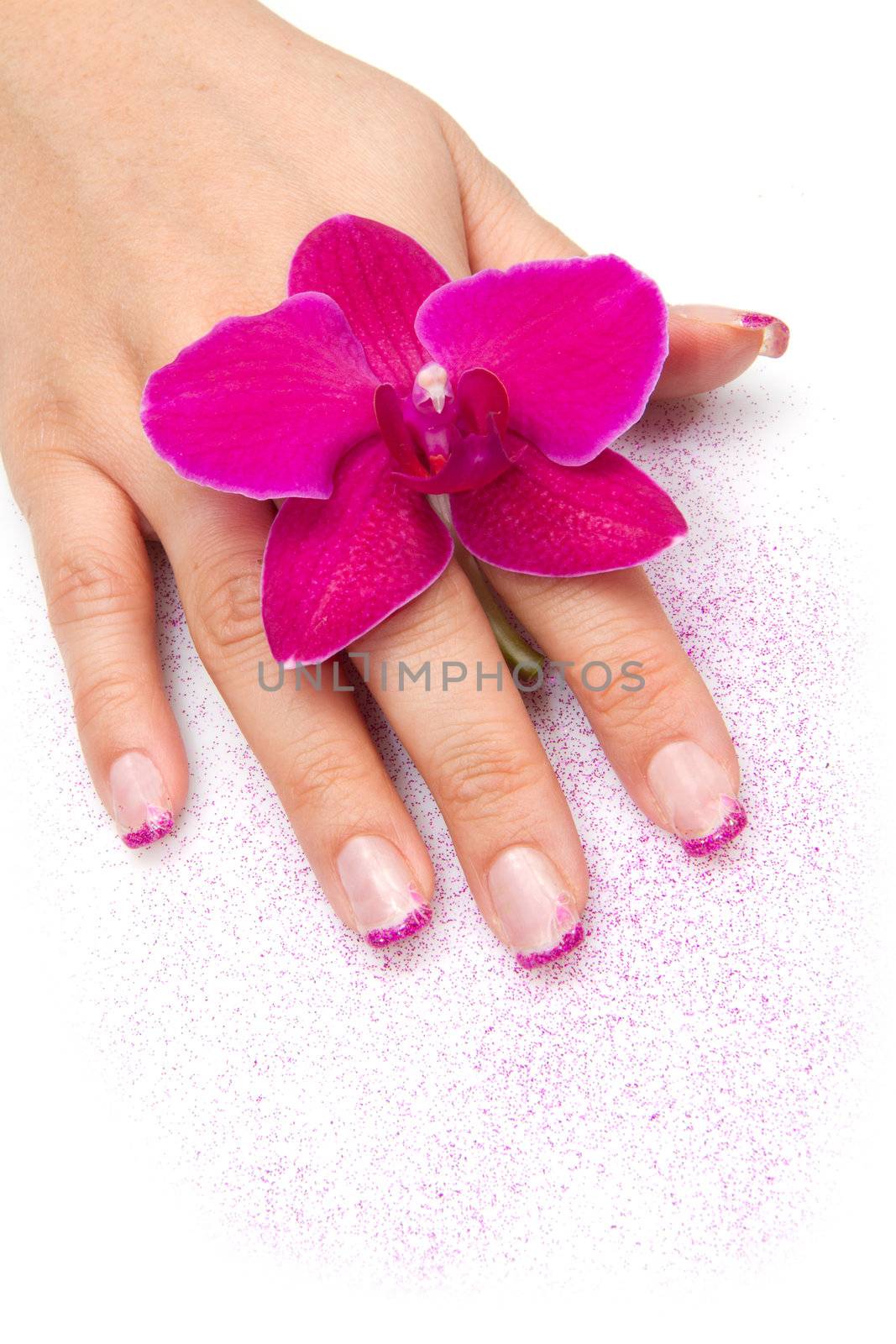 Beautiful hand with perfect nail french manicure and purple orchid flowers