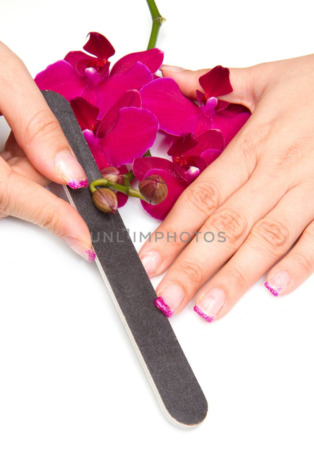 Beautiful hands with pink manicure holding purple orchid 
