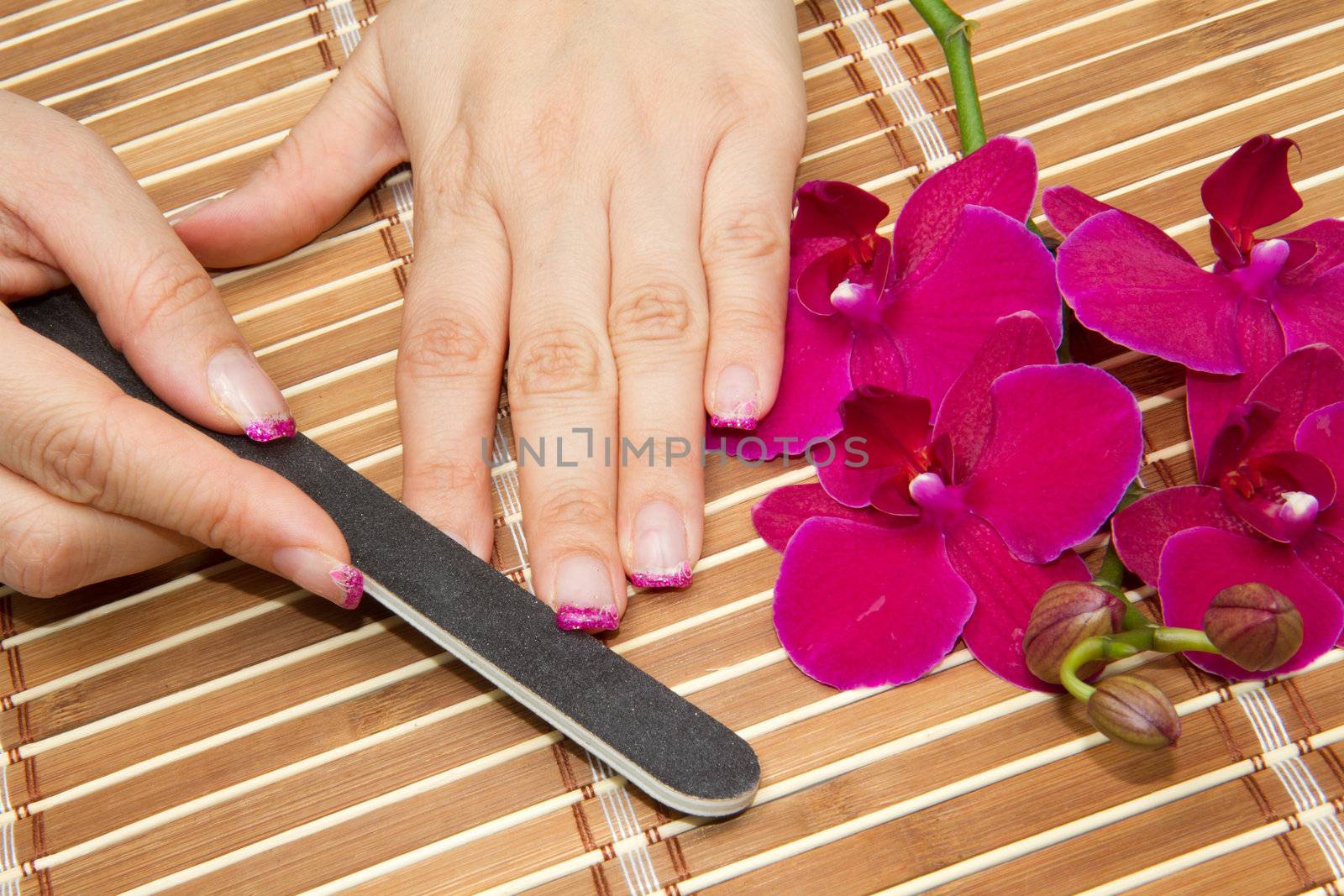 Beautiful hands with pink manicure holding purple orchid 