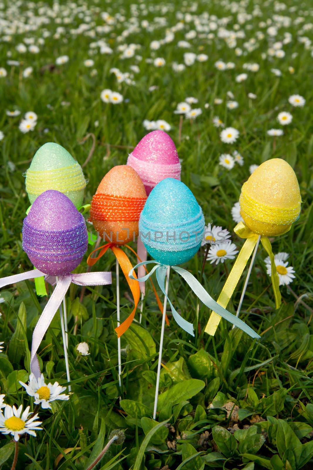 Easter eggs with daisy on grass