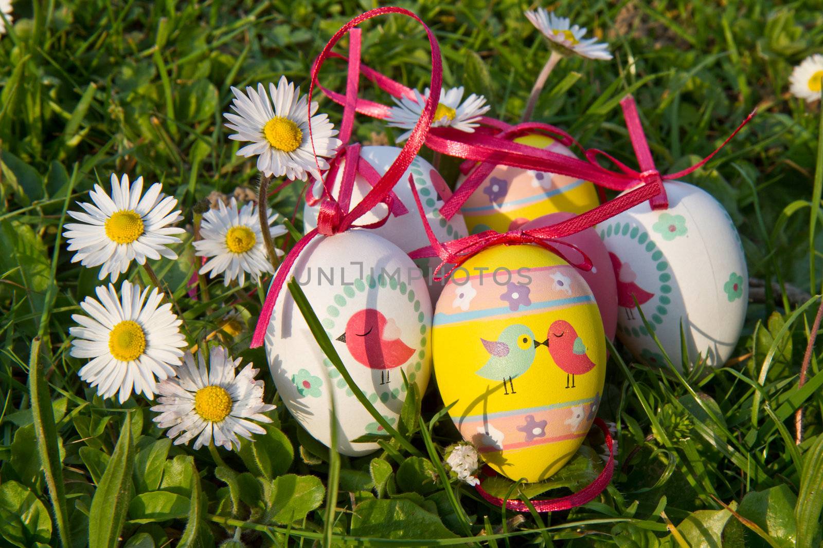 Easter eggs with daisy on grass