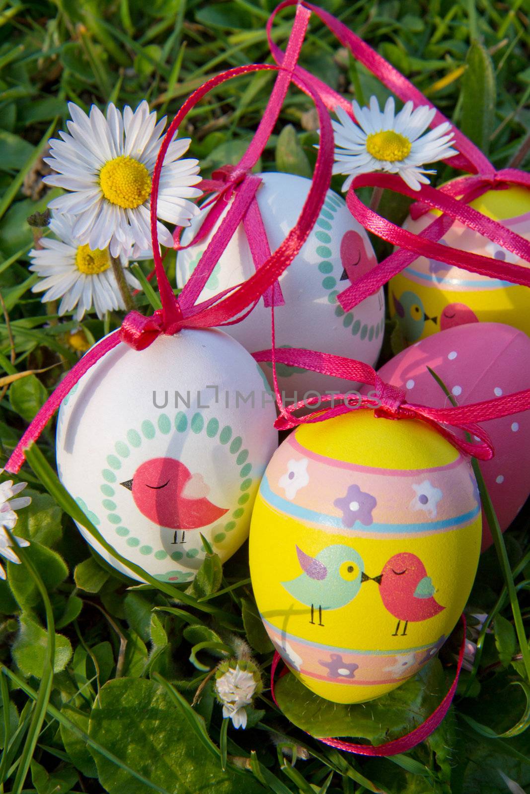 Easter eggs with daisy on grass