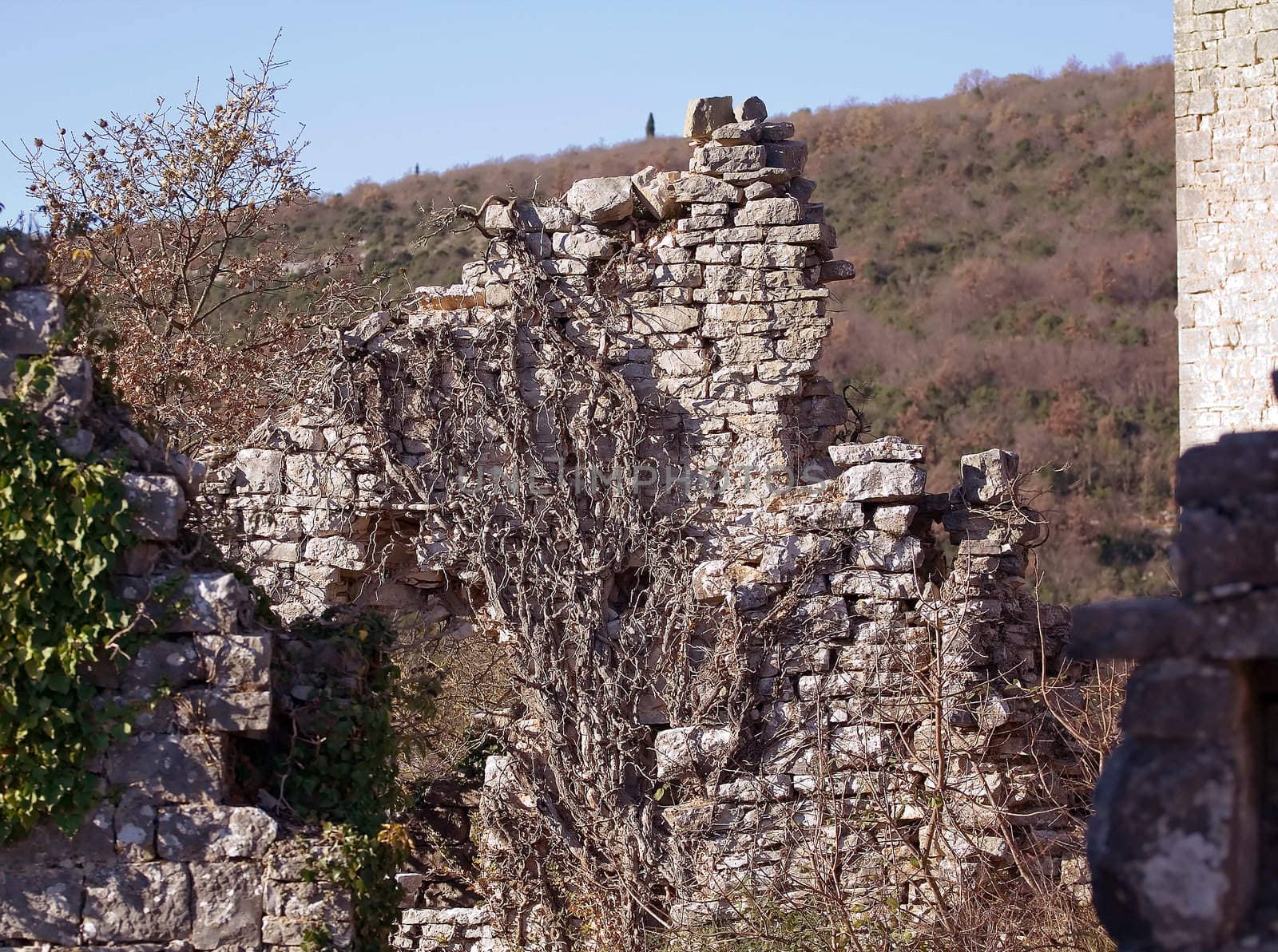 Ruins of a old abandoned stone house on a hill