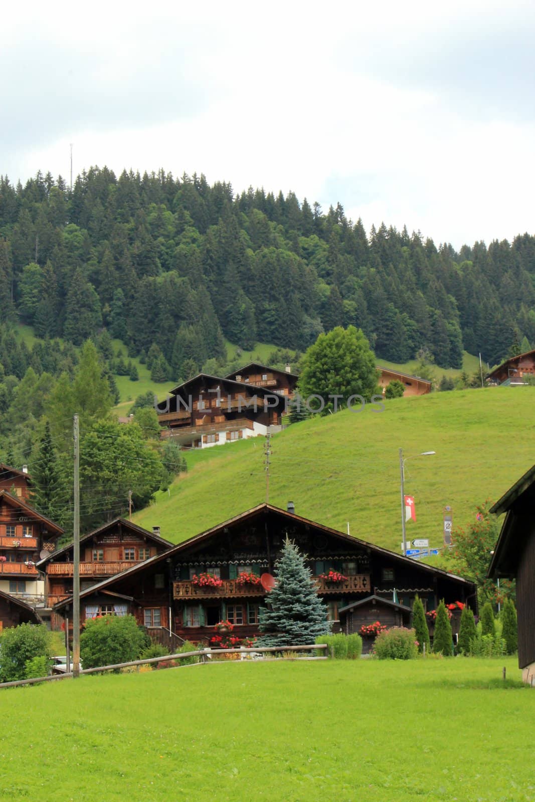 Chalets made of brown wood and decorated with flowers by summer at Diablerets village, Switzerland