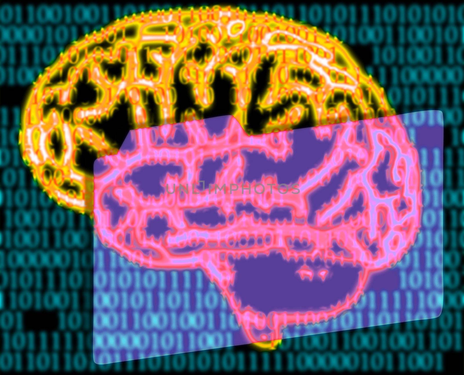 illustration of the humans brain and binary code