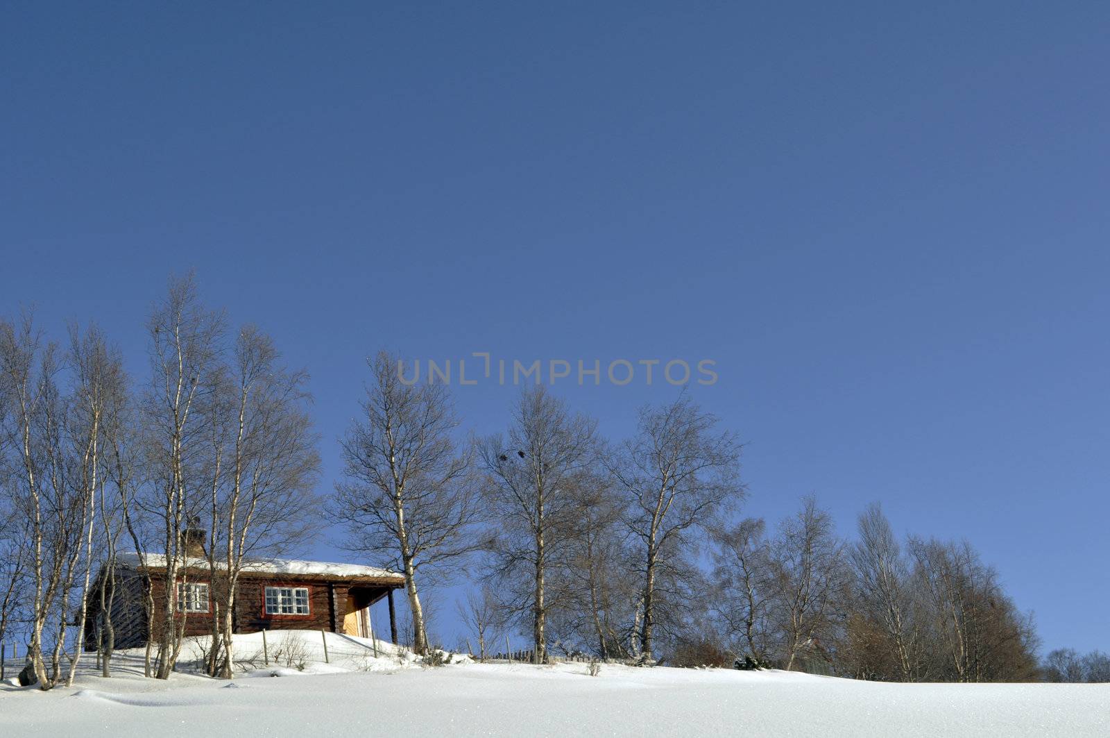 a cottage in a winterlandscape