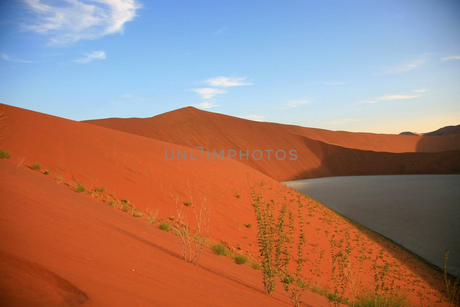 Namibia, Sossusvlei area, the Namib desert