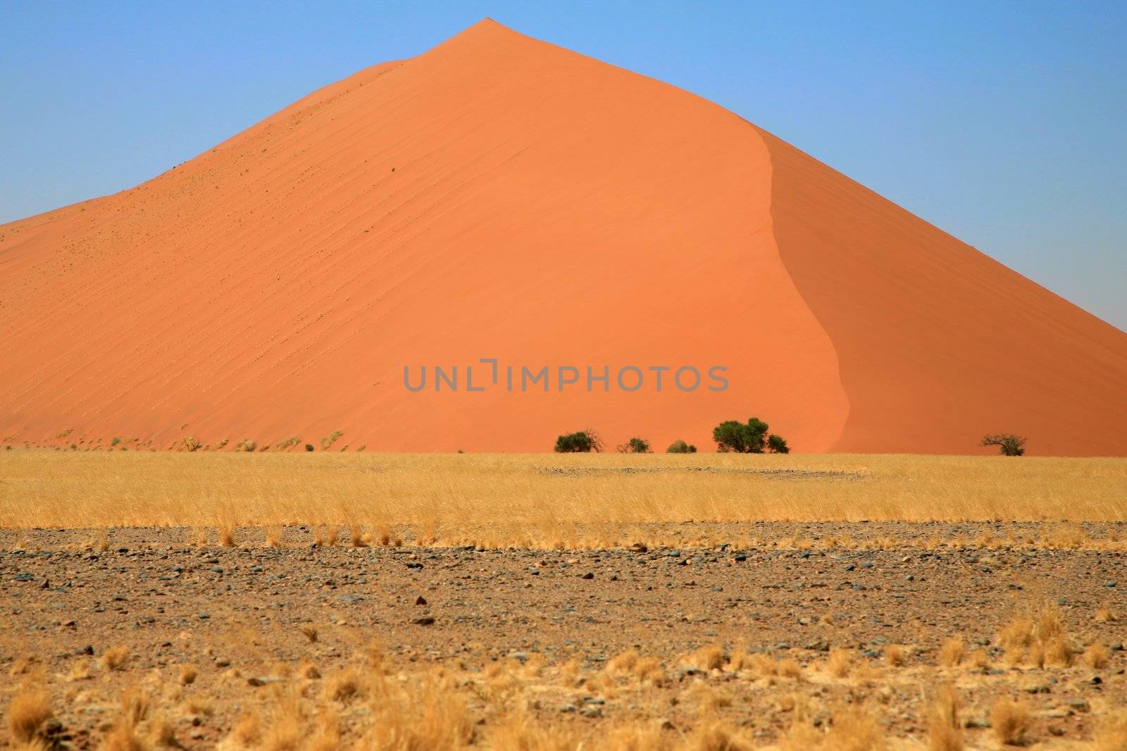 Namibia, Sossusvlei area, the Namib desert