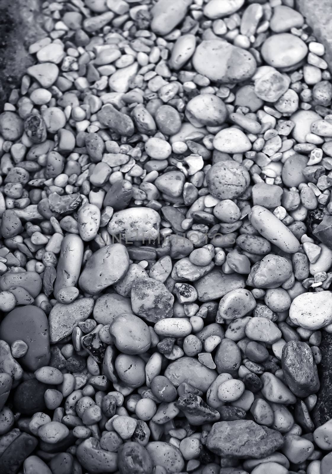 Nice stones on the beach , black and white photo