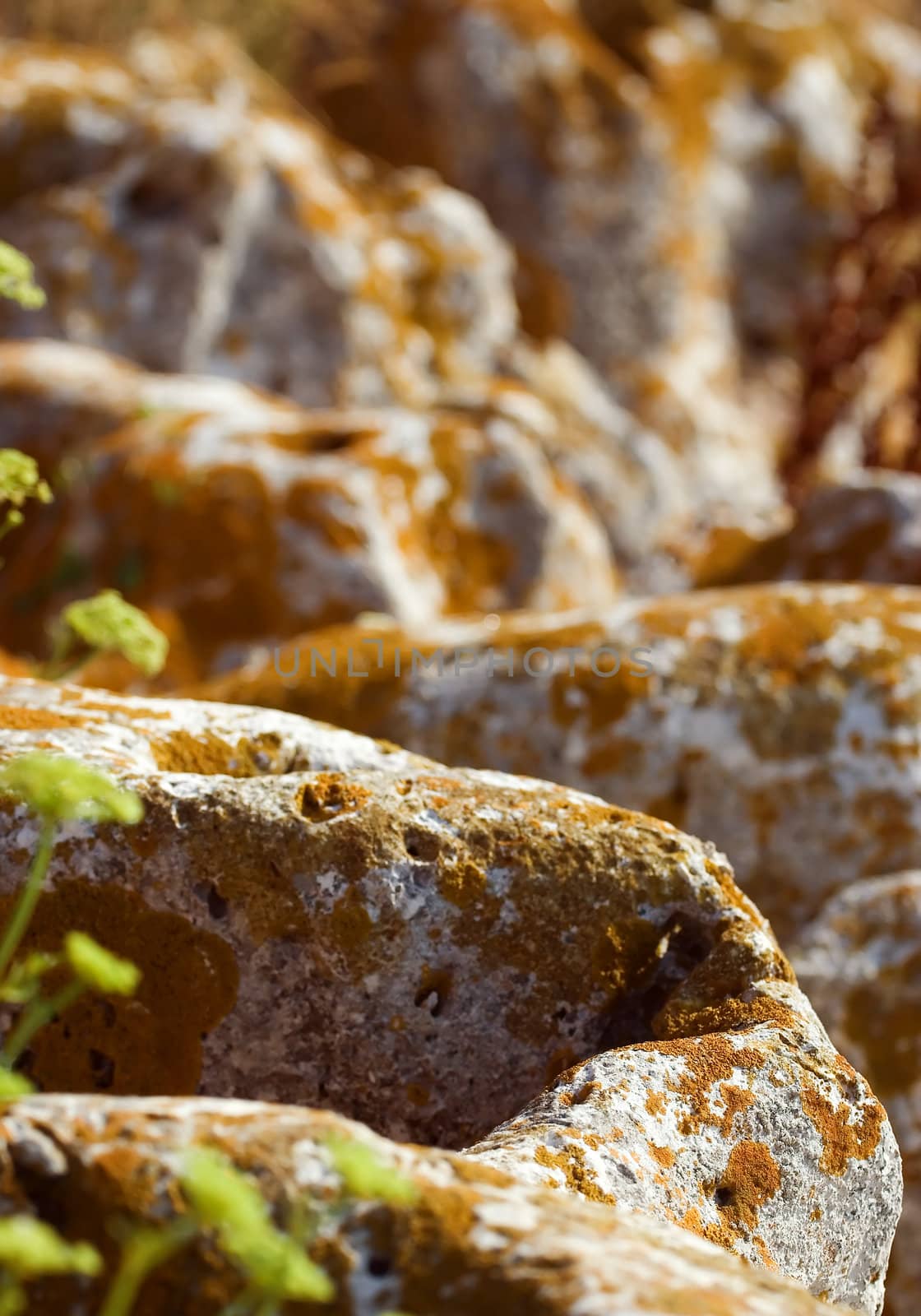 Interesting shapes of rocks covered with dry moss 