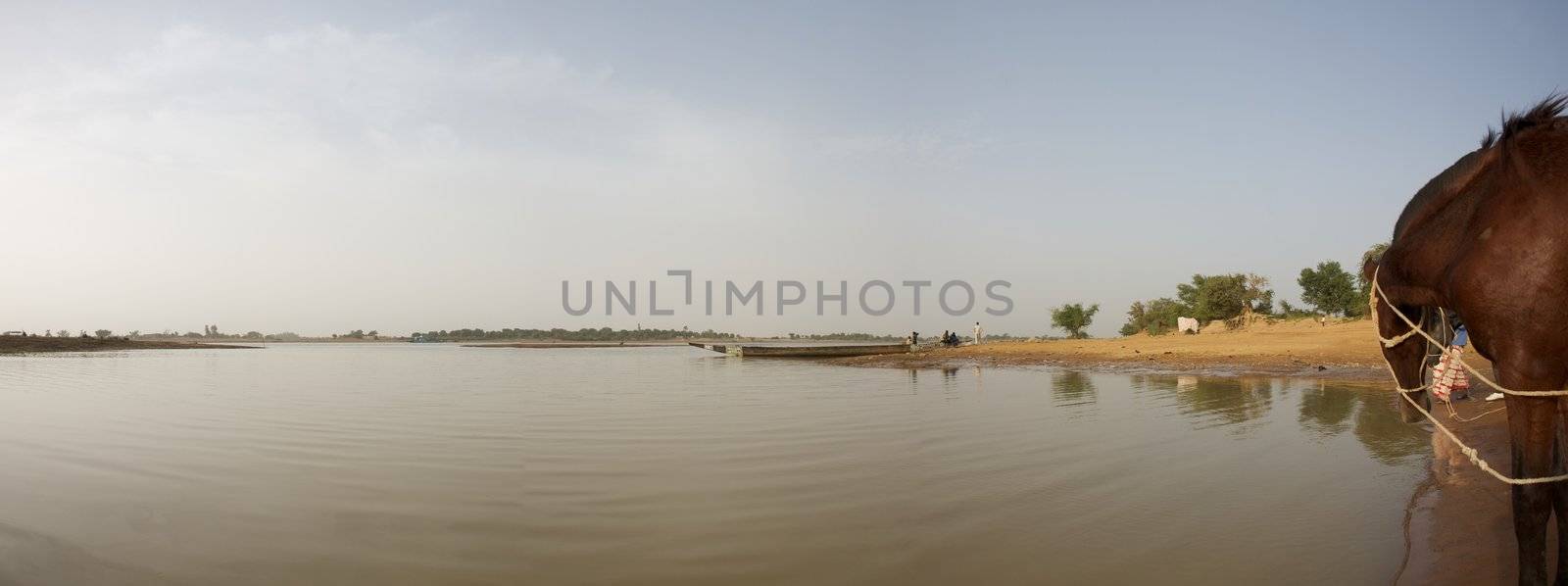 Peaceful panoramic view of the Delta of Niger, the big river in Mali and a horse