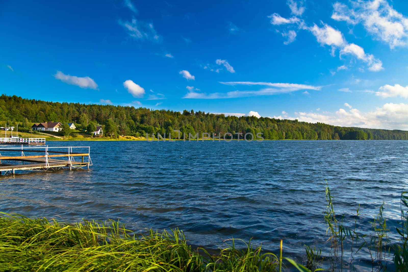 Summer landscape at the lake and forest
