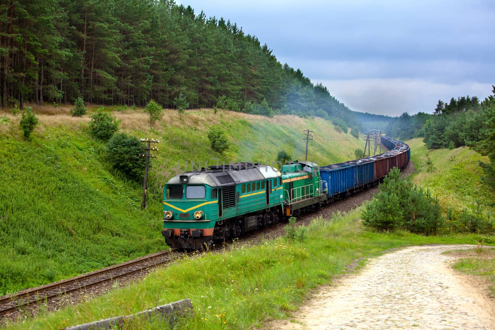 Freight train hauled by the diesel locomotives passing the forest
