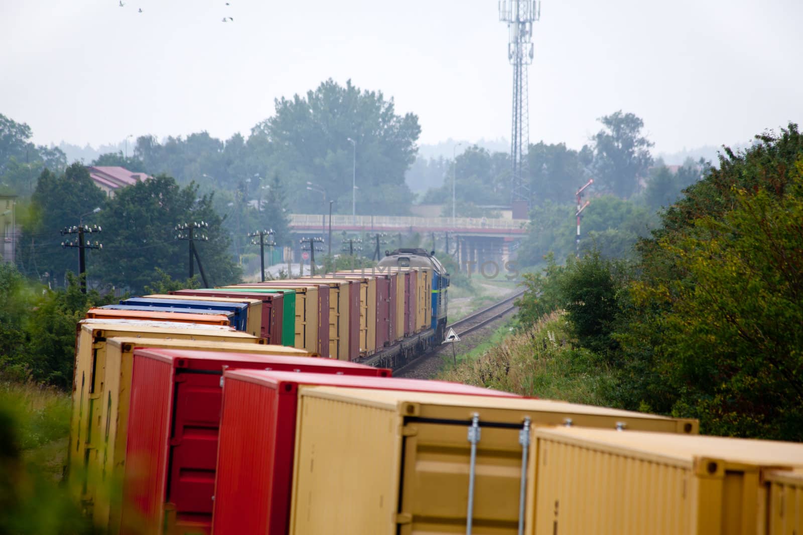 Rural landscape with the container train passing through countryside
