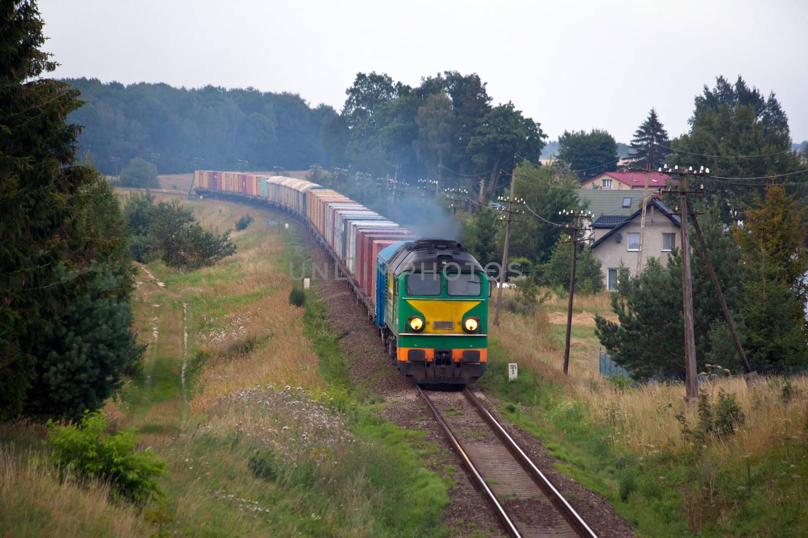 Freight train hauled by the diesel locomotives passing the forest
