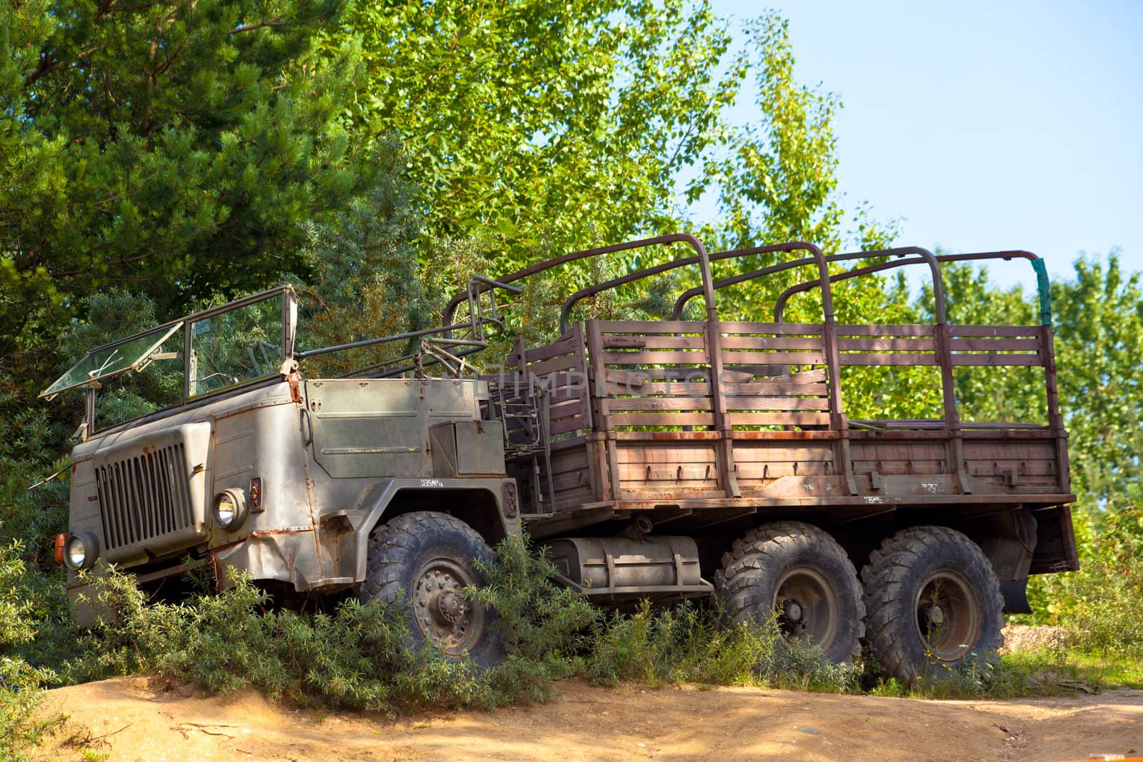 Old vintage military truck stuck in the bushes
