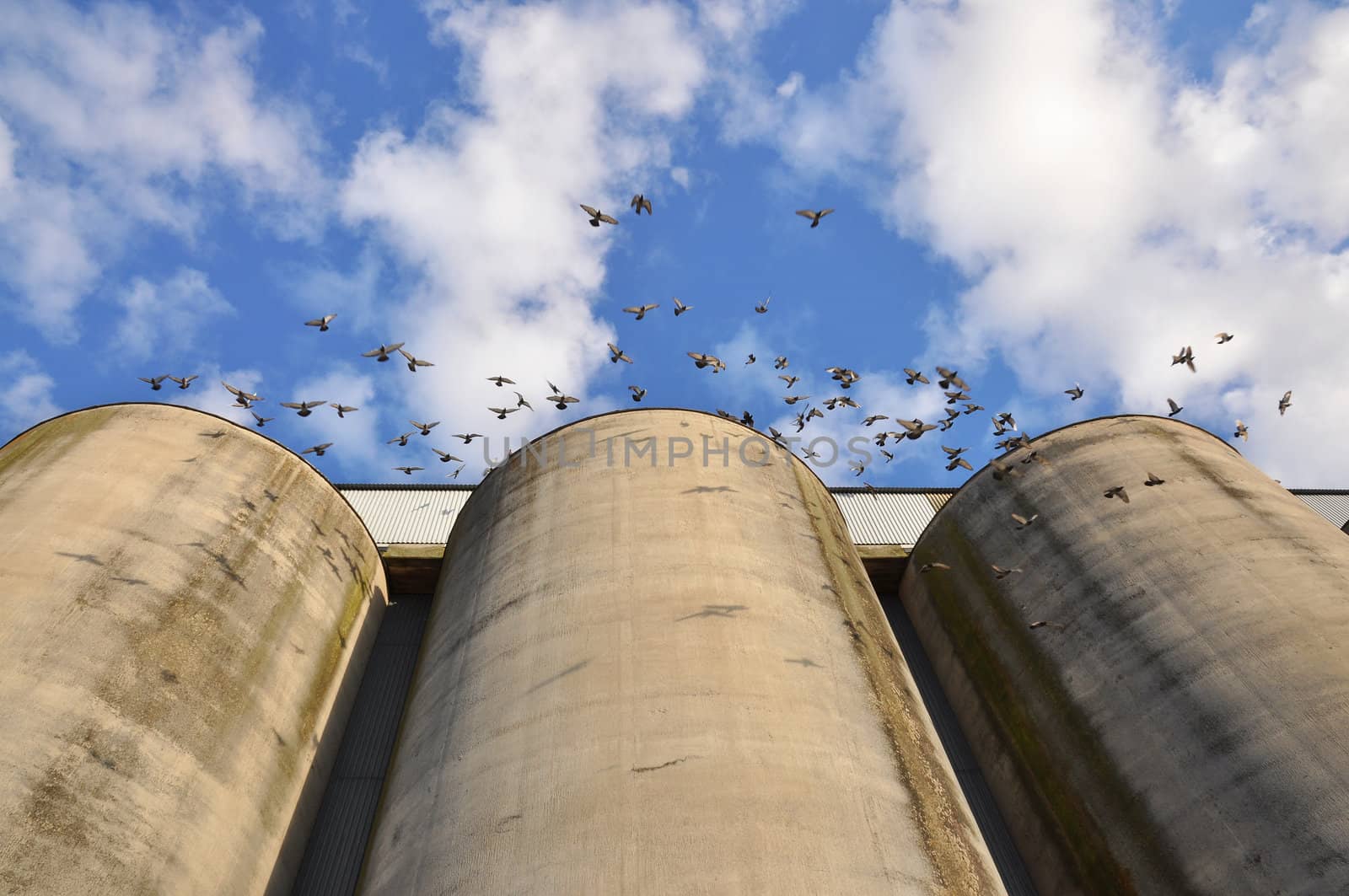Three old silos with doves in flight.