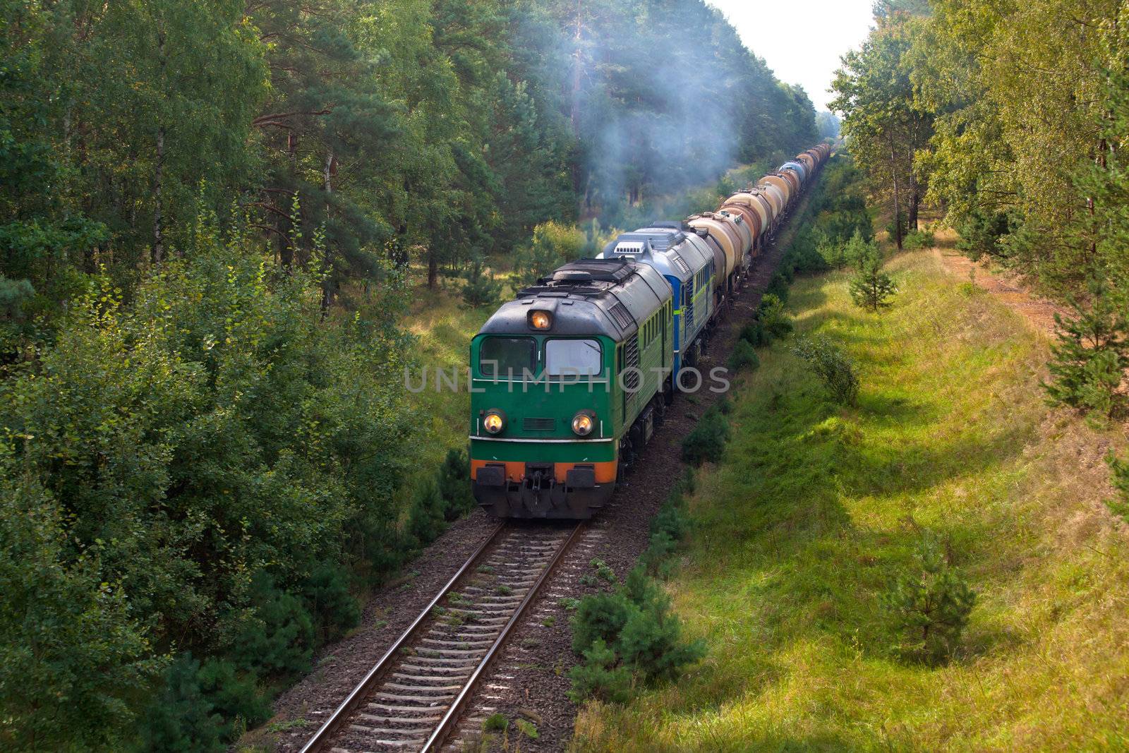 Freight train passing the forest
