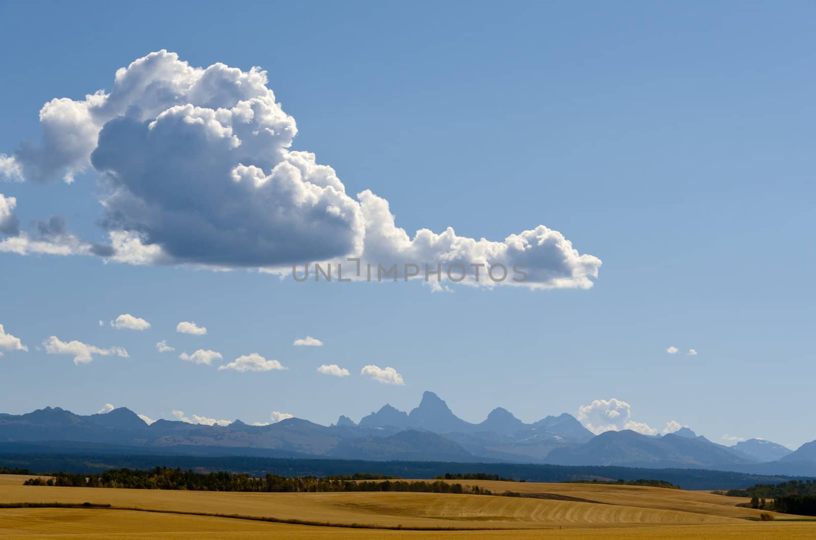 Harvested fields, the Teton Mountains and cumulus clouds, Teton County, Idaho, USA by CharlesBolin