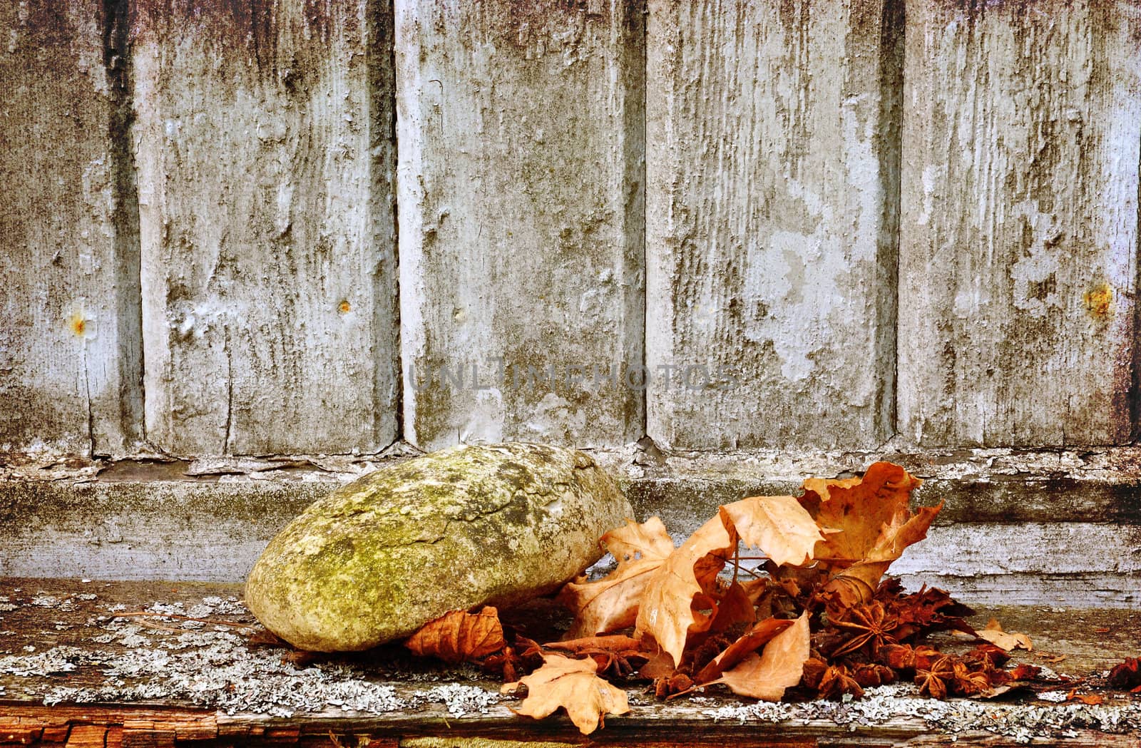A rock and dry autumn leaves against an old wooden wall.