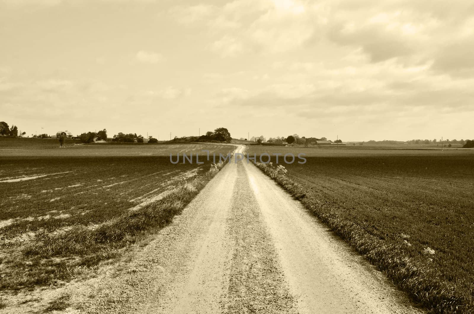 Rural road by ankihoglund