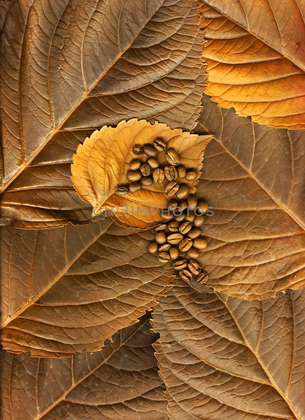 Coffee beans and leaves in copper.