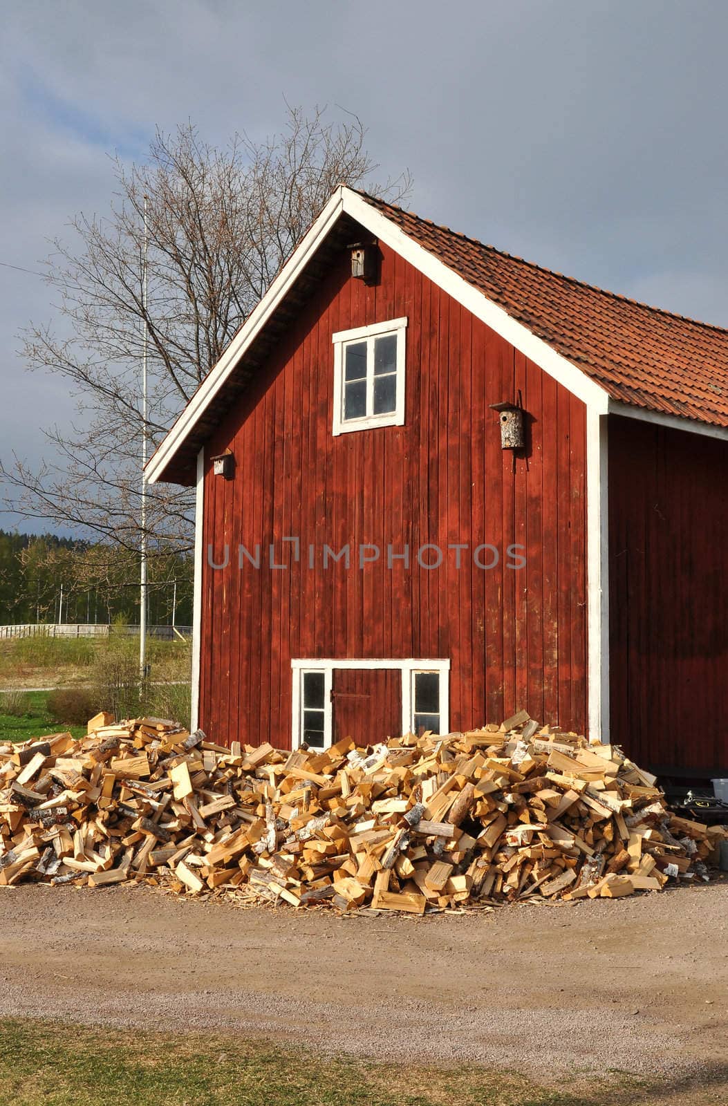 A big pile of firewood drying in front of a red barn in Sweden.