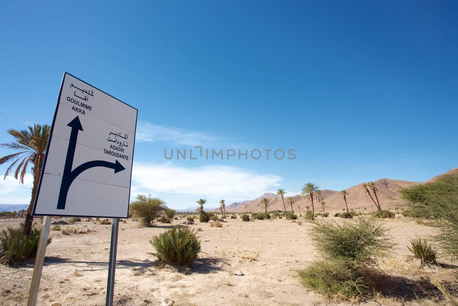 Road to Agadir in Morocco with Palm trees and a blue sky