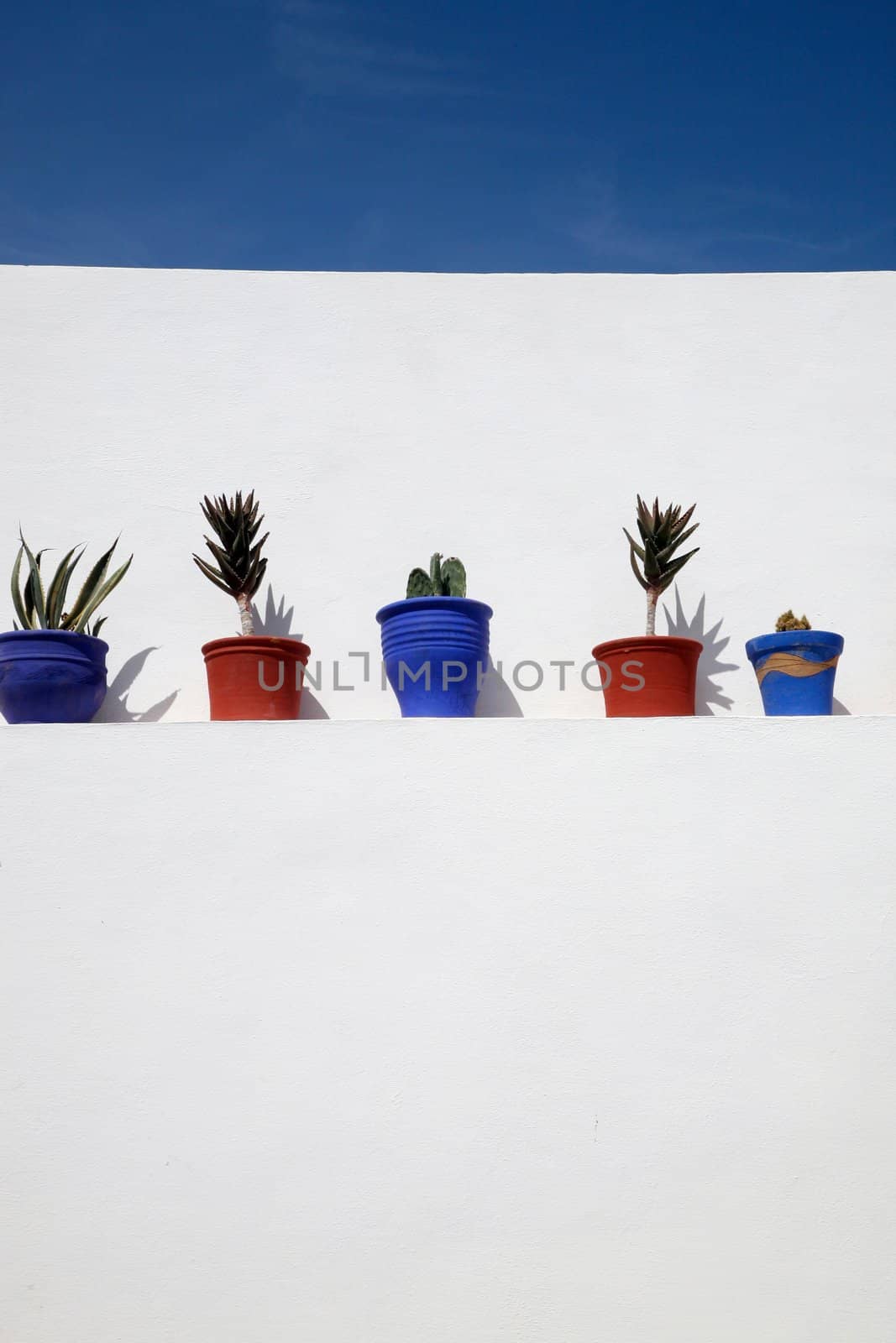 White wall with aligned plants with blue sky