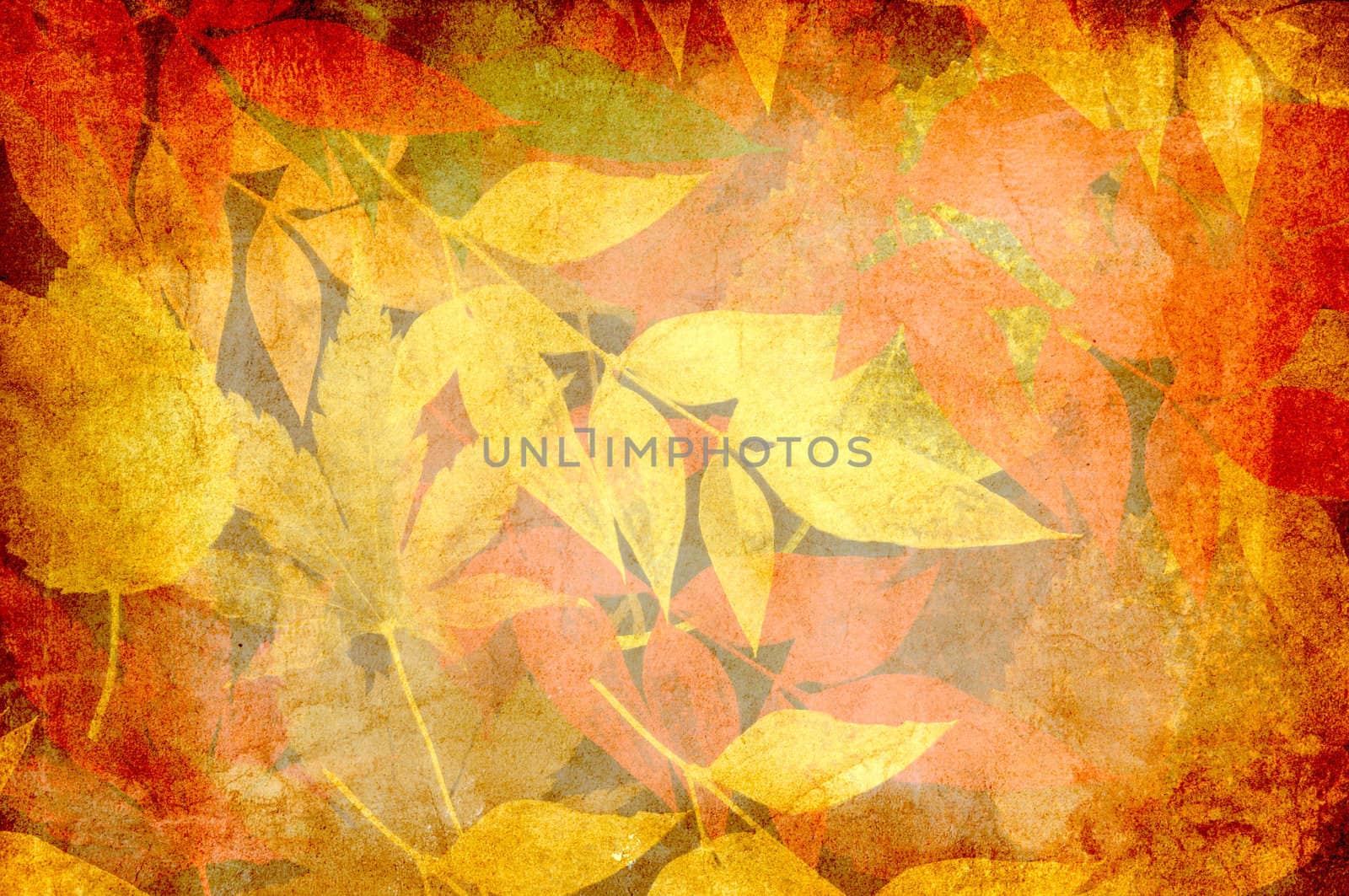 Autumn leaves background by ankihoglund