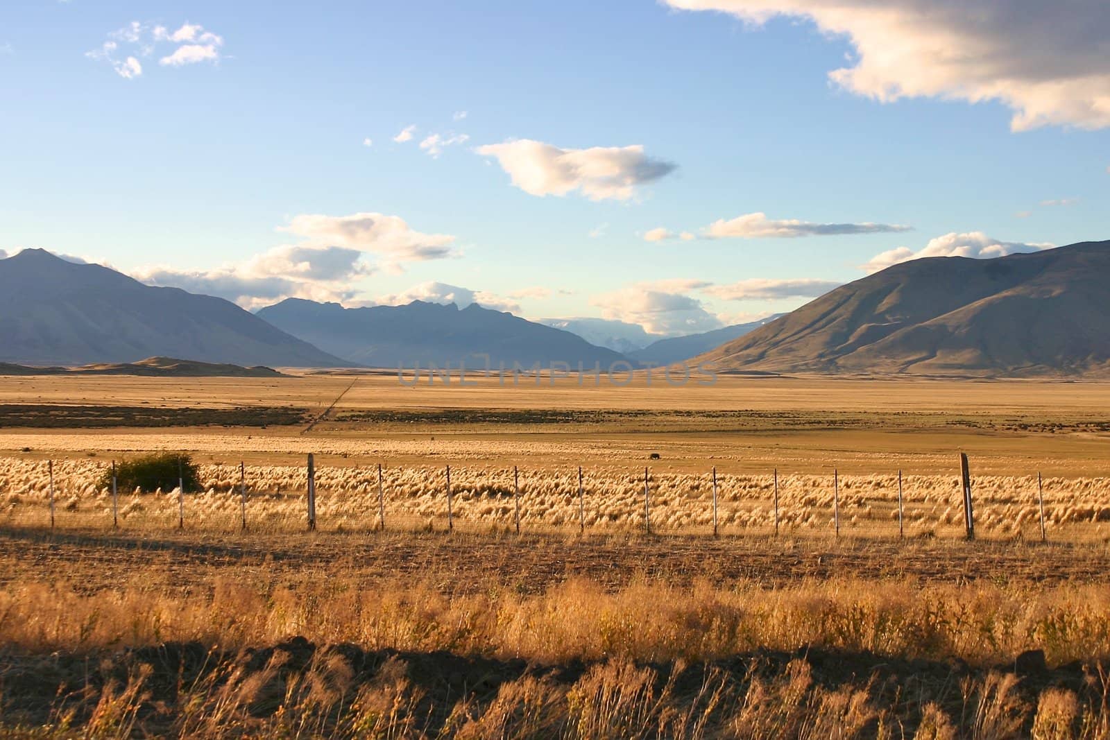 Landscape in patagonia close to El Calafate - perito moreno