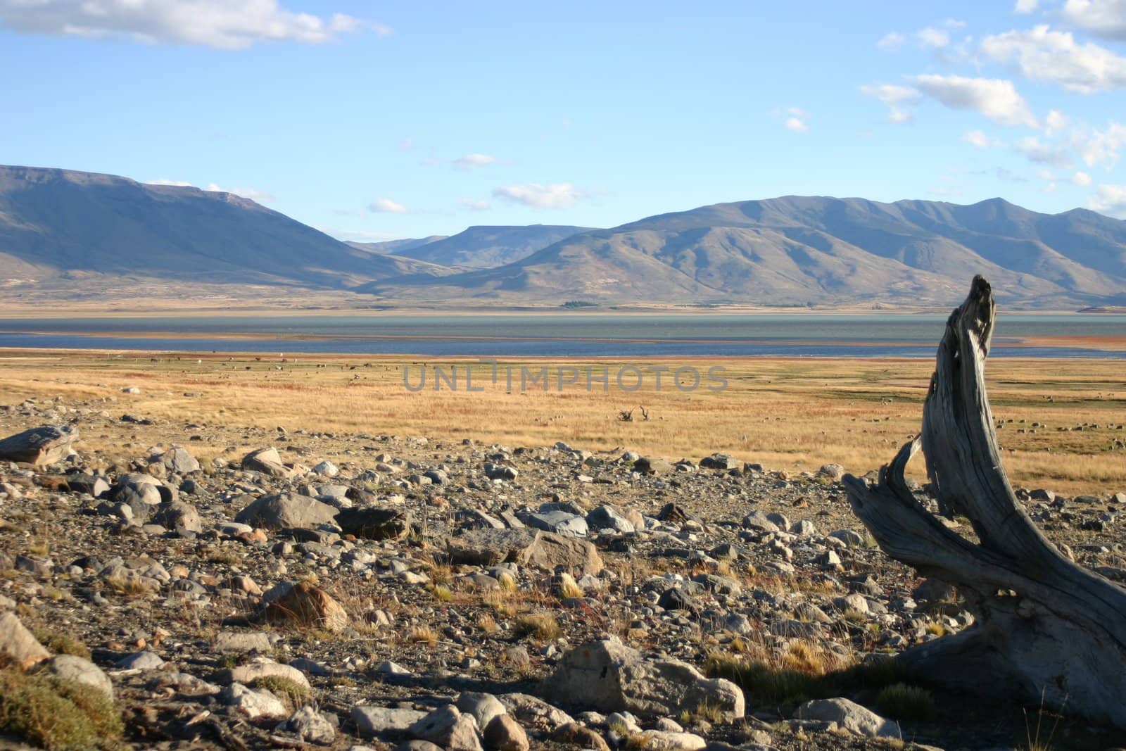 Landscape in patagonia close to El Calafate - perito moreno