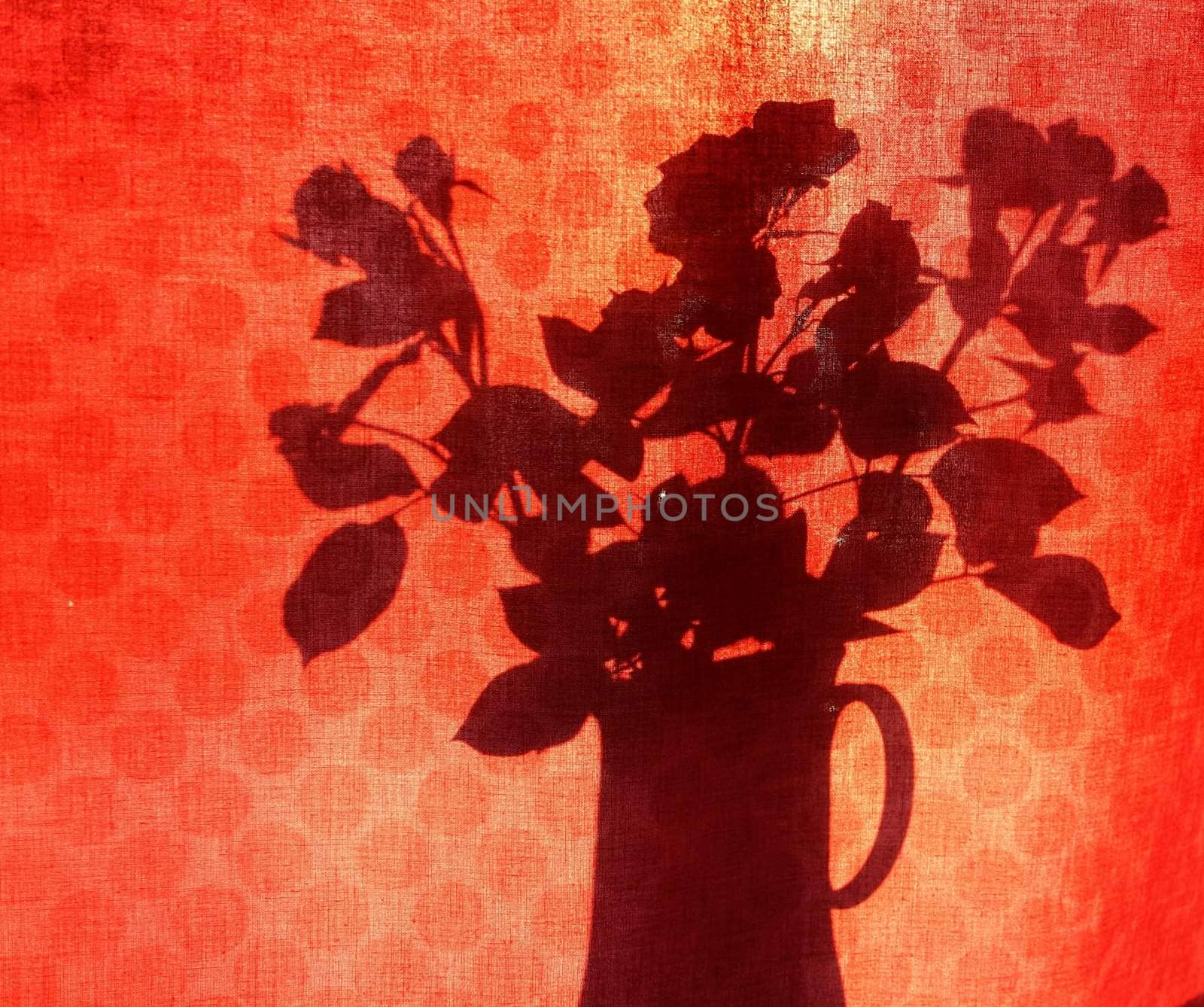 Roses are red silhouette #1 by sundaune