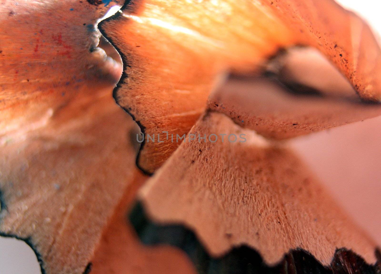 Closeup of pencil shavings from black pencil