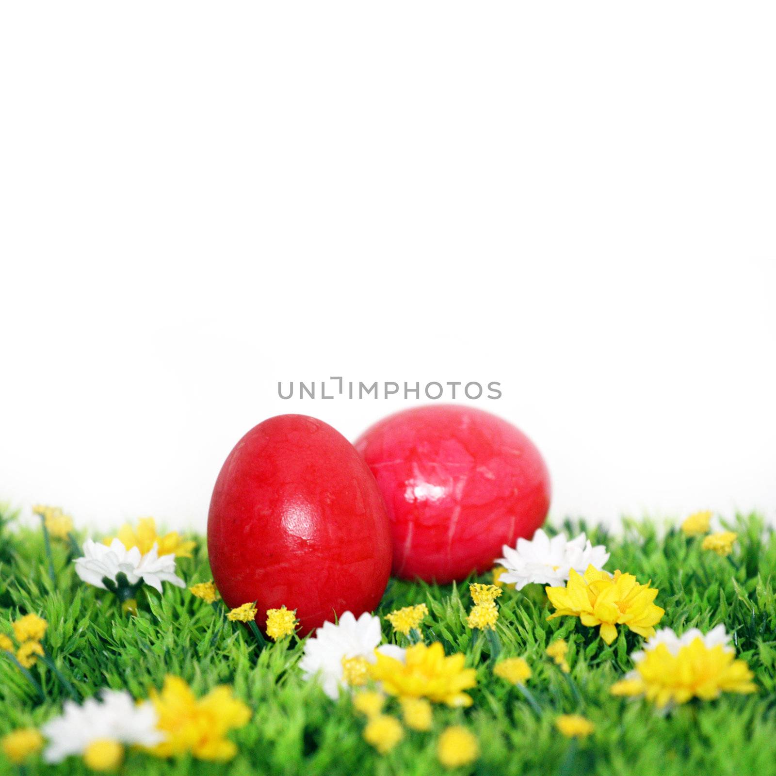 two red eastereggs by photochecker