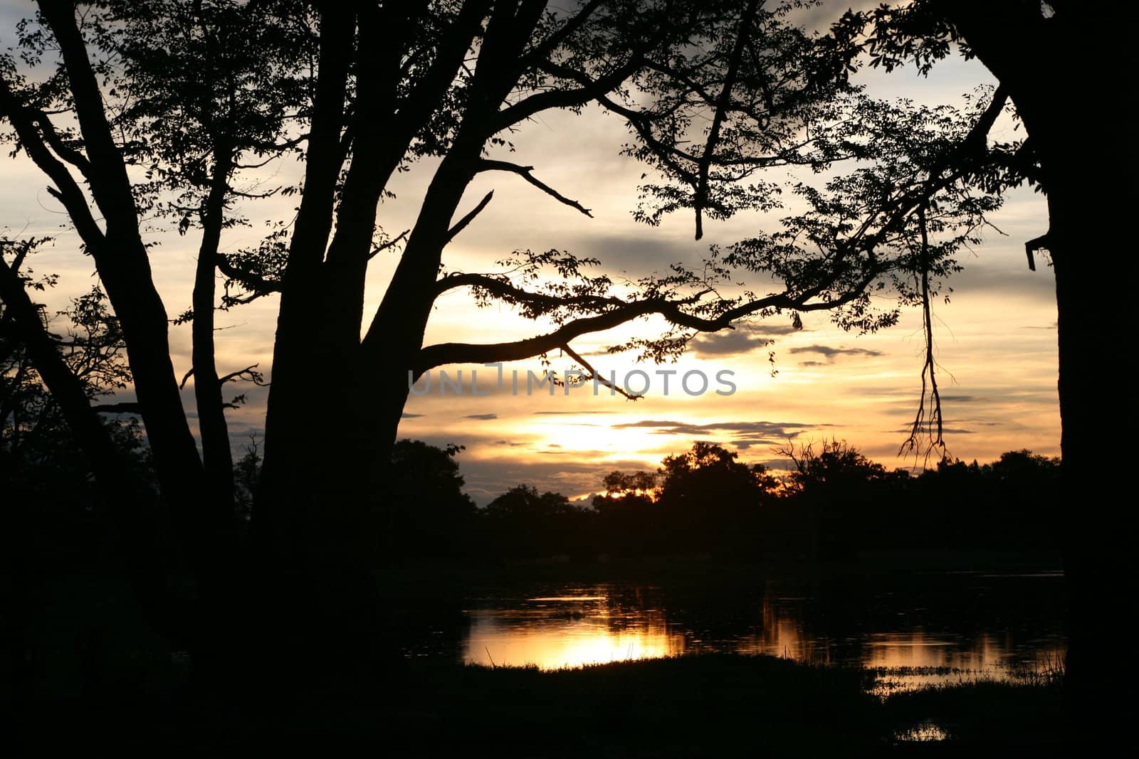 Okavango delta in botswana and sunset - Moremi Reserve