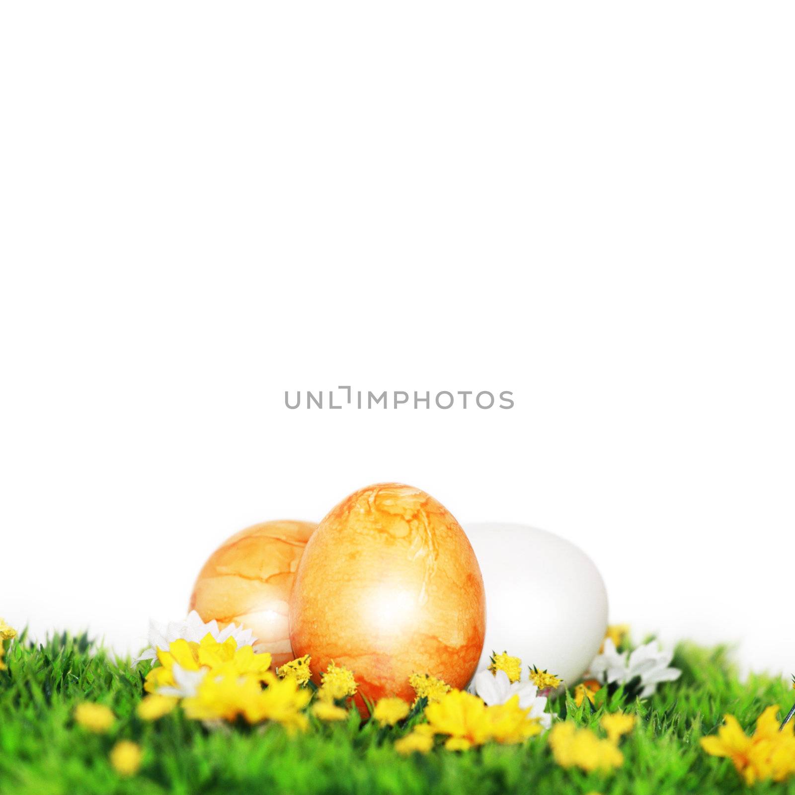 Yellow painted Easter eggs  by photochecker