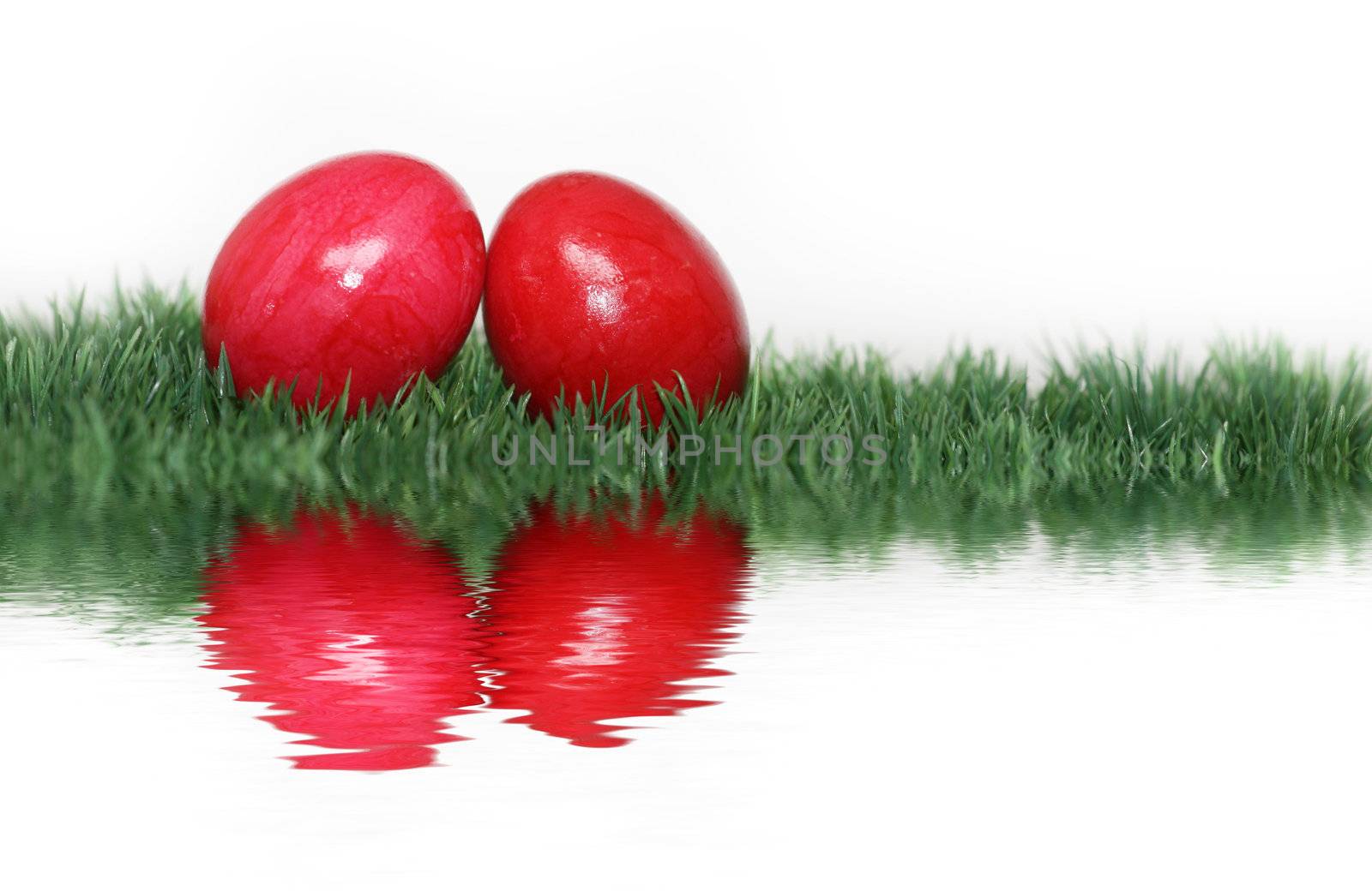 Red eggs mirrored  by photochecker