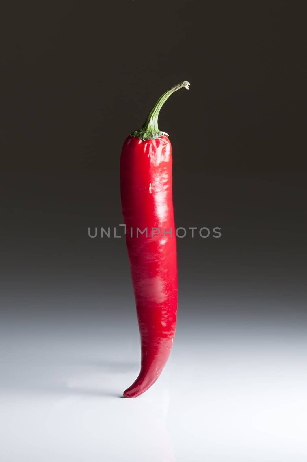 Red hot chili pepper for spicy food