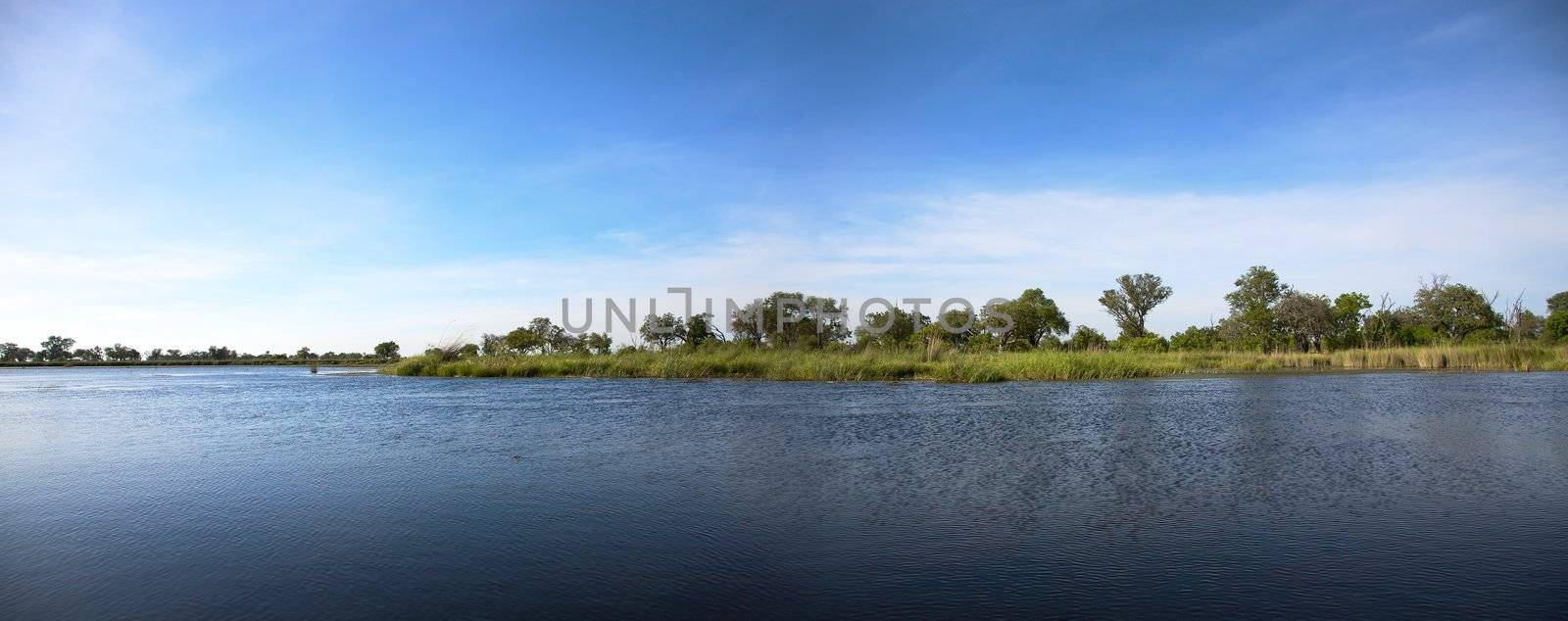 Landscape of water and grass in the Okavango Delta in North of Botswana. The Delta is the biggest sweatwater reservoir in this area and the water is absolutely clean