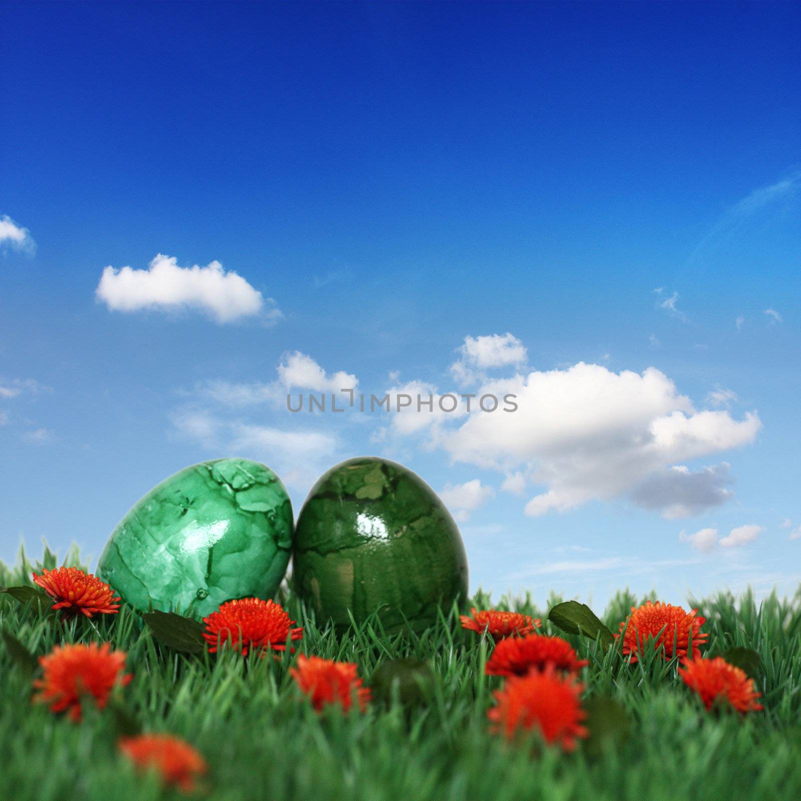 Green eggs in the Green  by photochecker