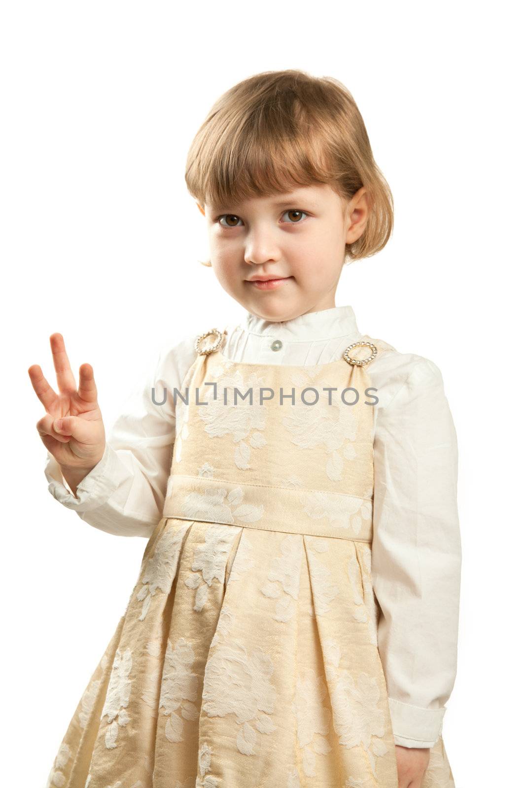 Standing little girl in dress. Studio shot isolated on white.