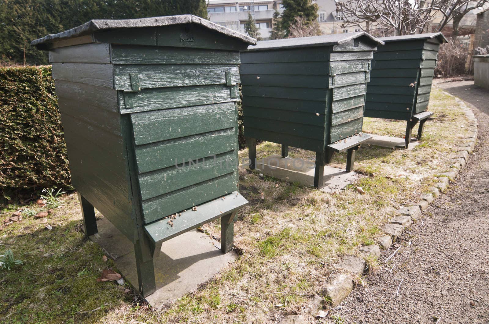 Green wooden beehives for flower impollination