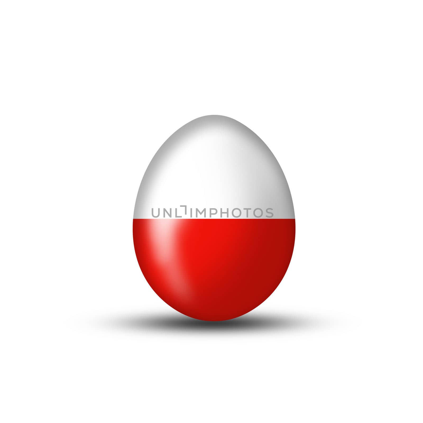 Egg in Polish national colors  by photochecker