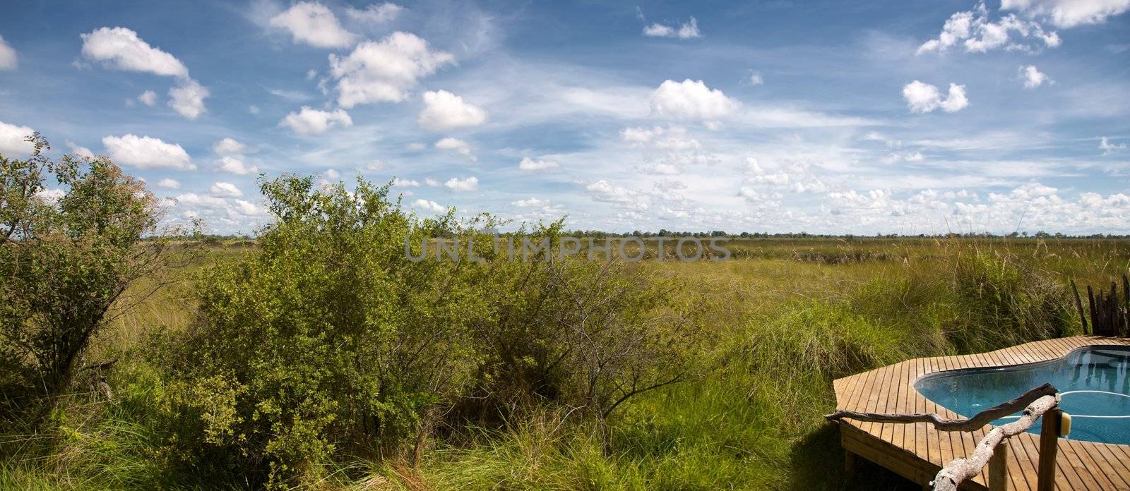 Panoramic view of swimming pool in the bush in the Delta of Okavango in Botswana