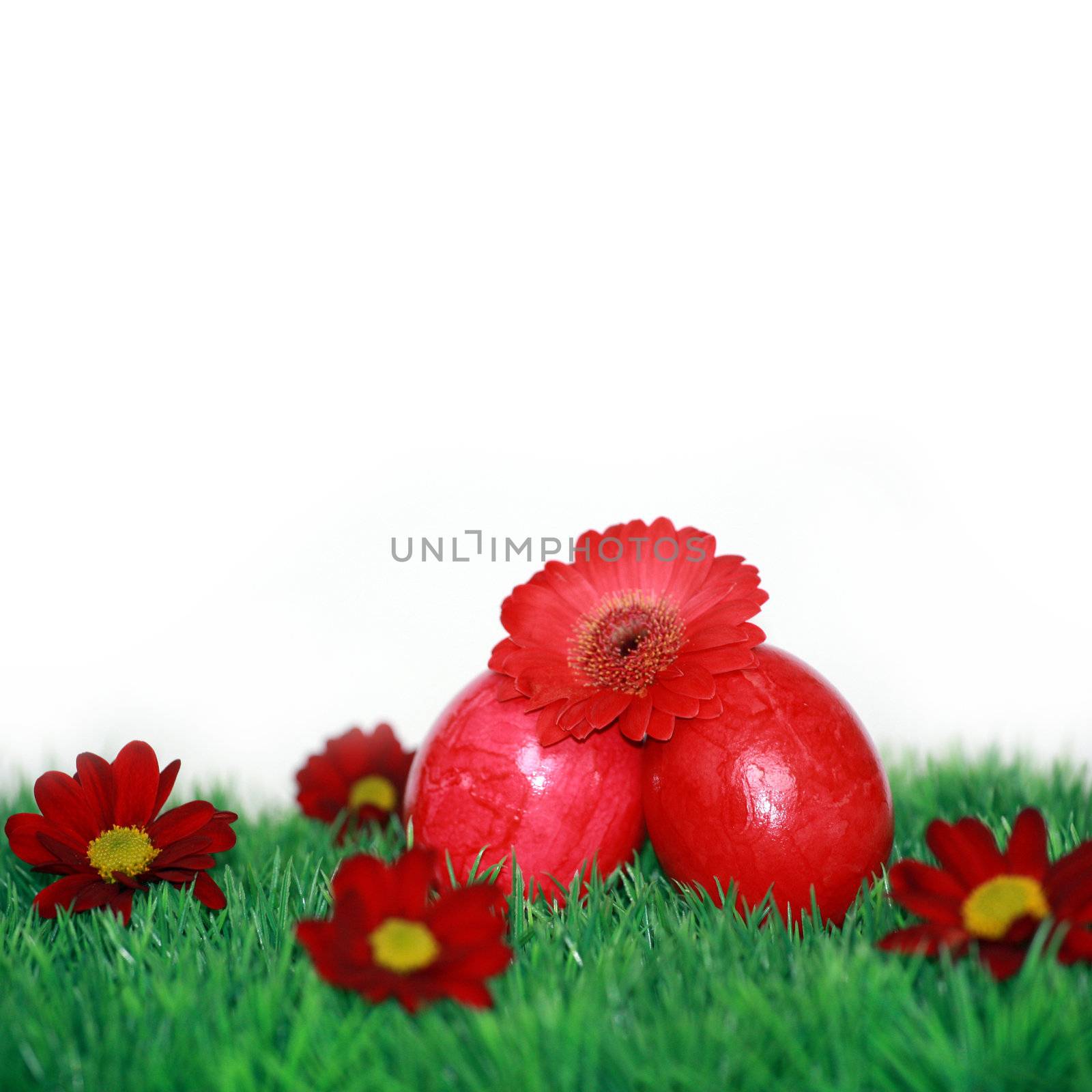 Red Easter egg motive by photochecker