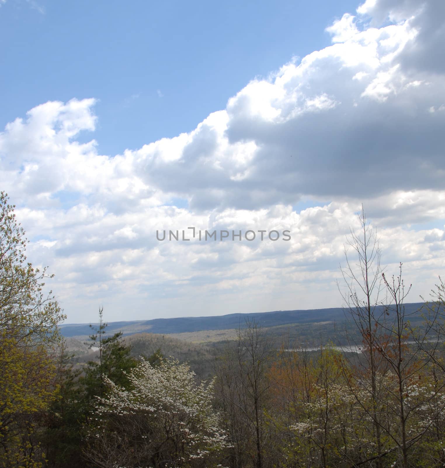 Cloud view by northwoodsphoto