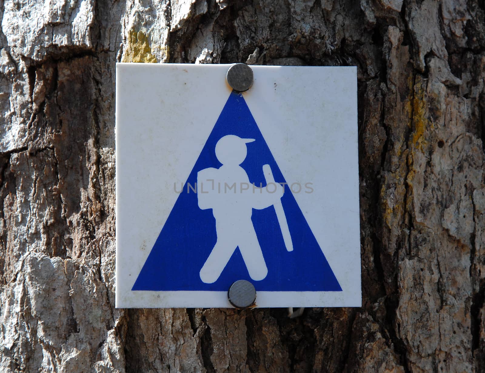 Hiking sign on tree. Along a trail in North Carolina