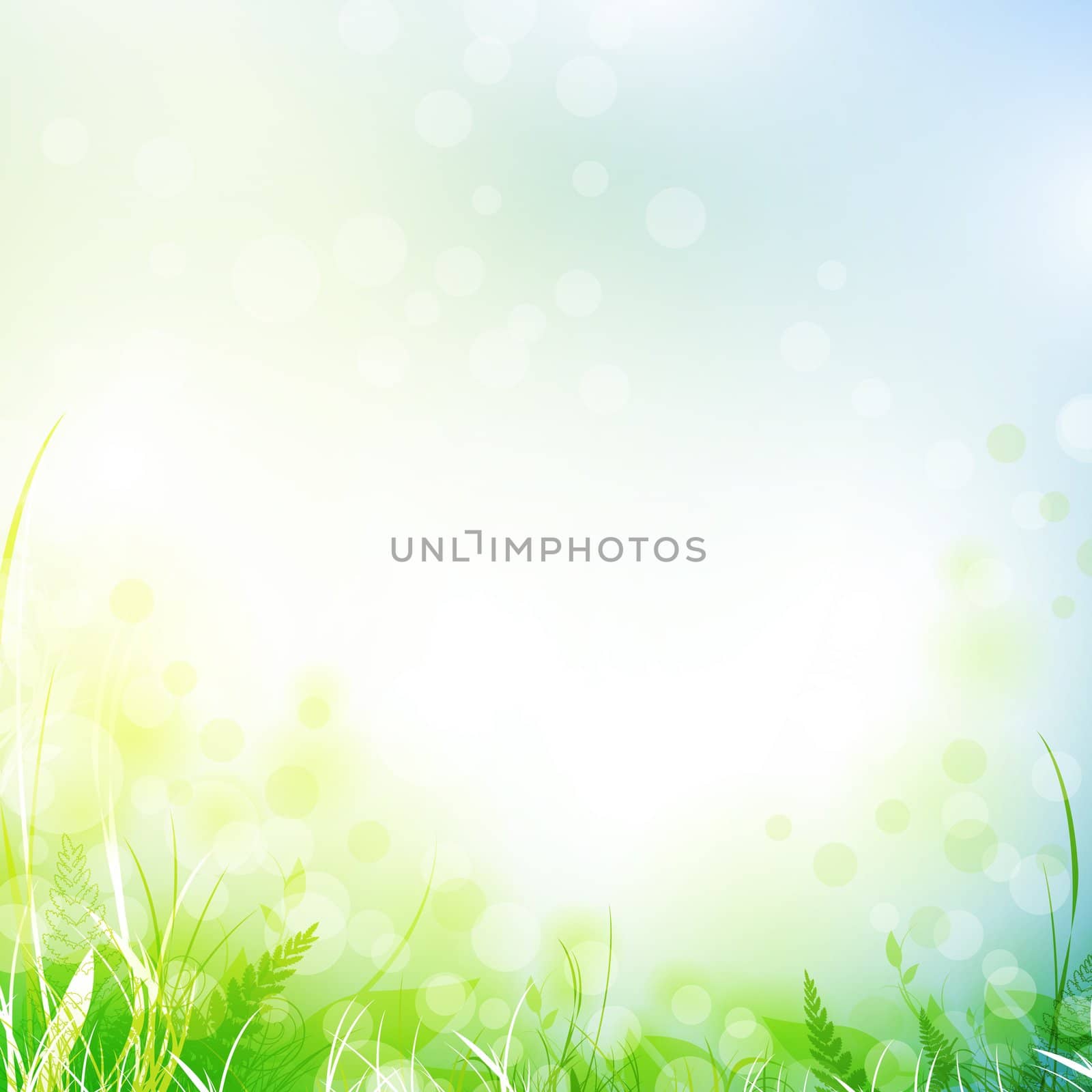 spring meadow with green grass over blue sky, copyspace